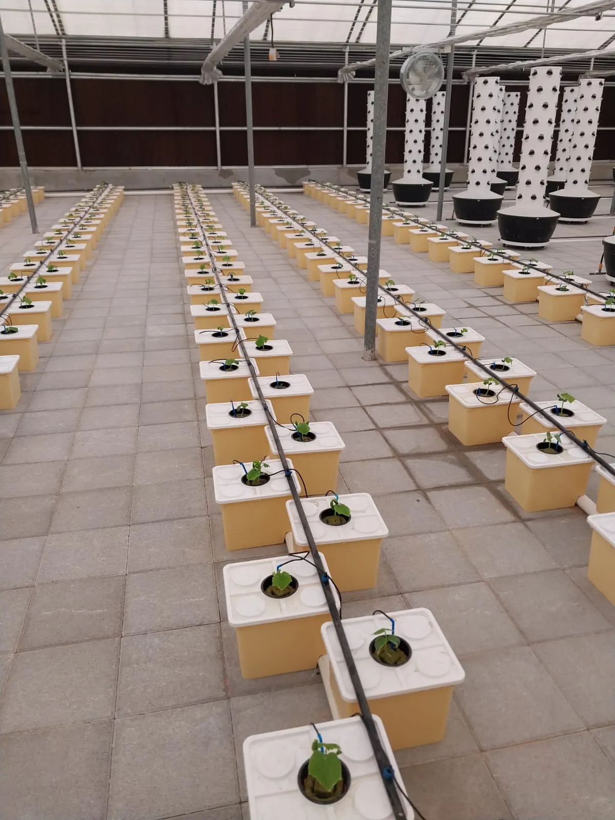 Green House Hydroponic System