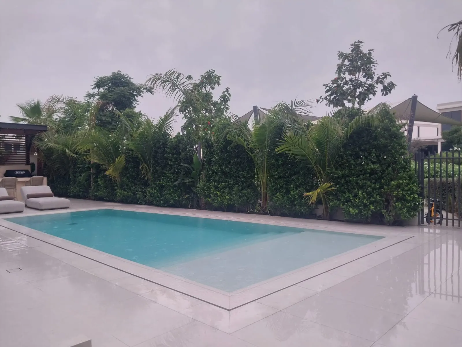 Custom Swimming Pool