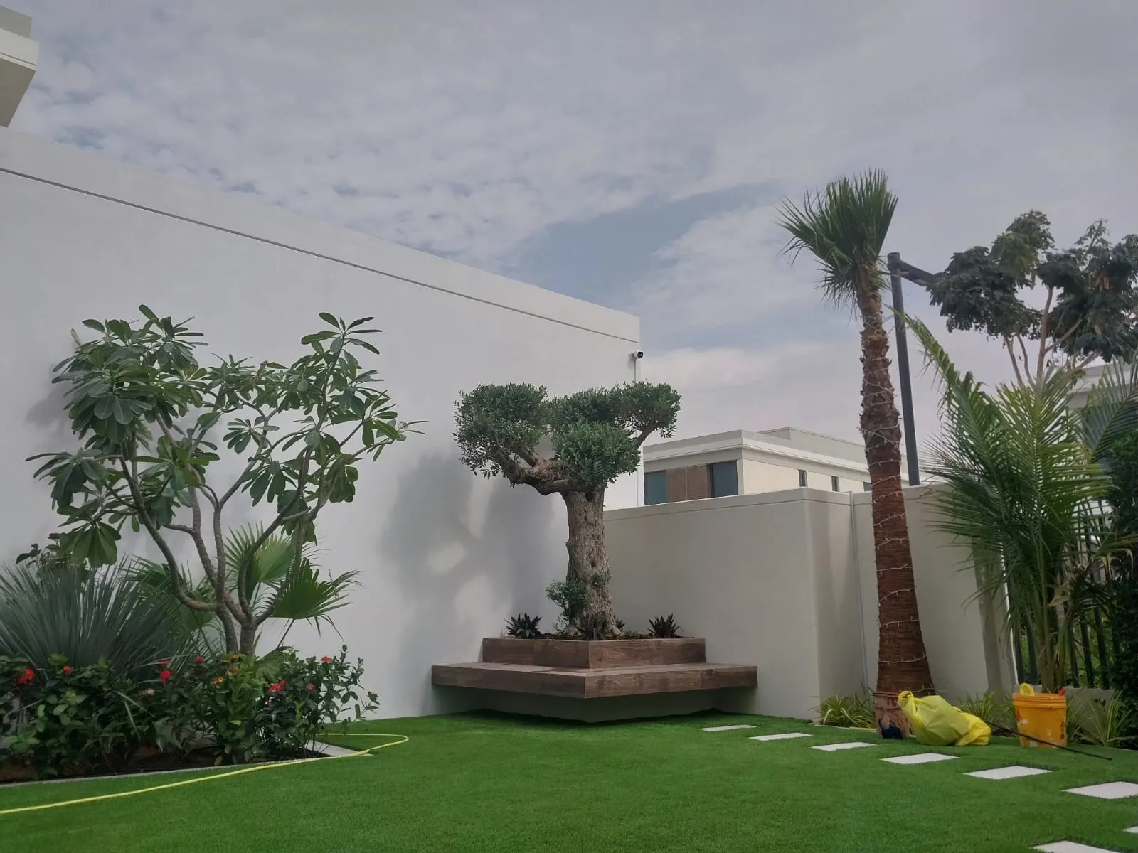 Lush Greenery