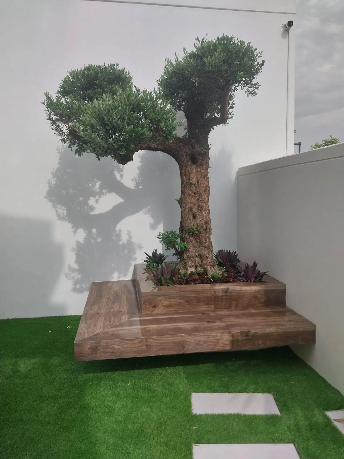 Portable Plants